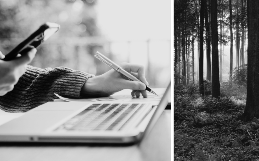 Social Marketing, Social Media, AI, and Forestry